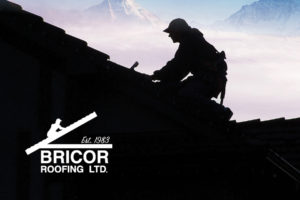 Bricor Roofing Terms and Conditions Banner
